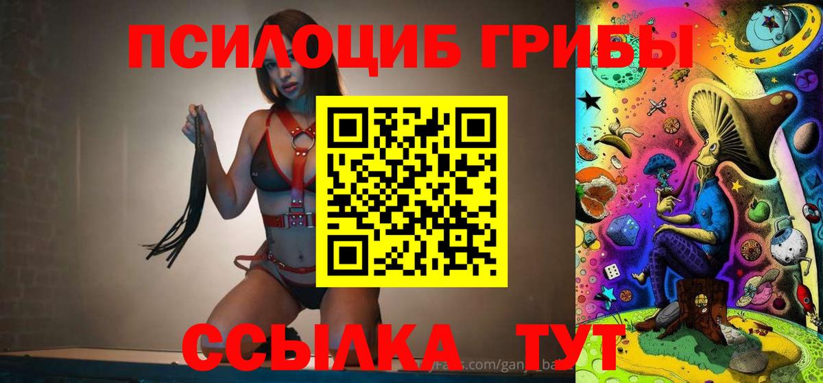 Псилоцибиновые грибы MAGIC MUSHROOMS  сколько стоит  Дедовск  Вход с VPN 