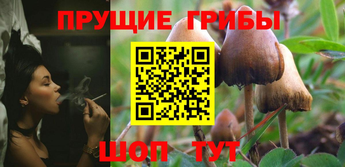 Псилоцибиновые грибы мухоморы Дедовск