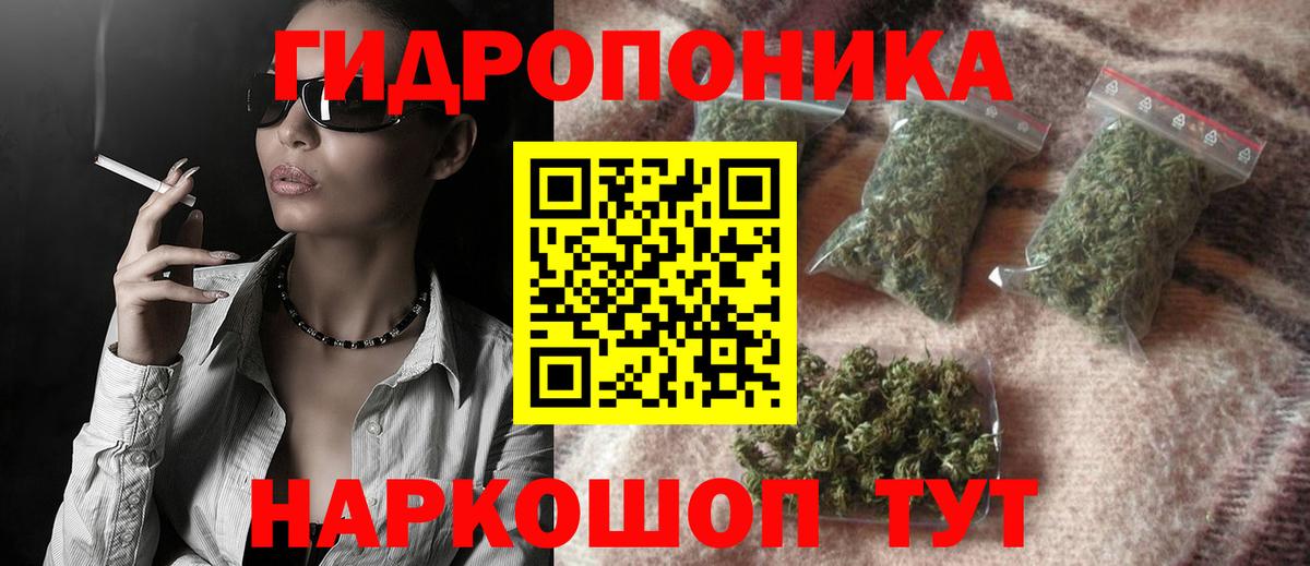 Бошки марихуана конопля Дедовск